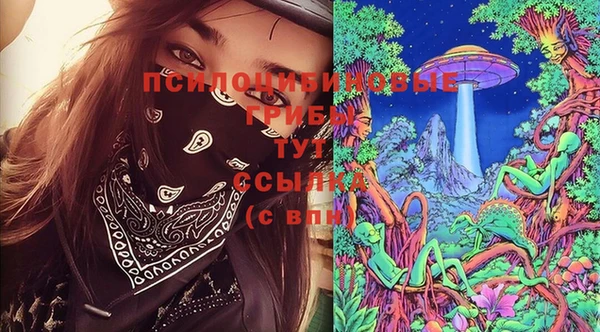 мет Осинники