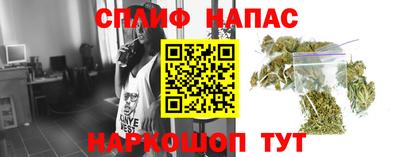 PSILOCYBIN Абакан