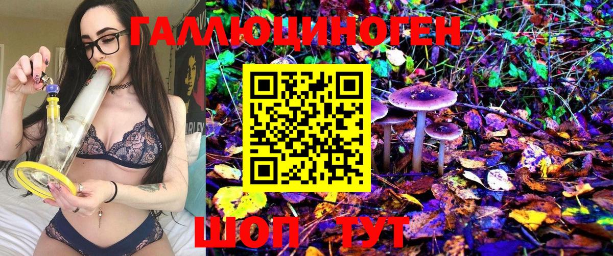 где купить   Анапа  Галлюциногенные грибы прущие грибы 